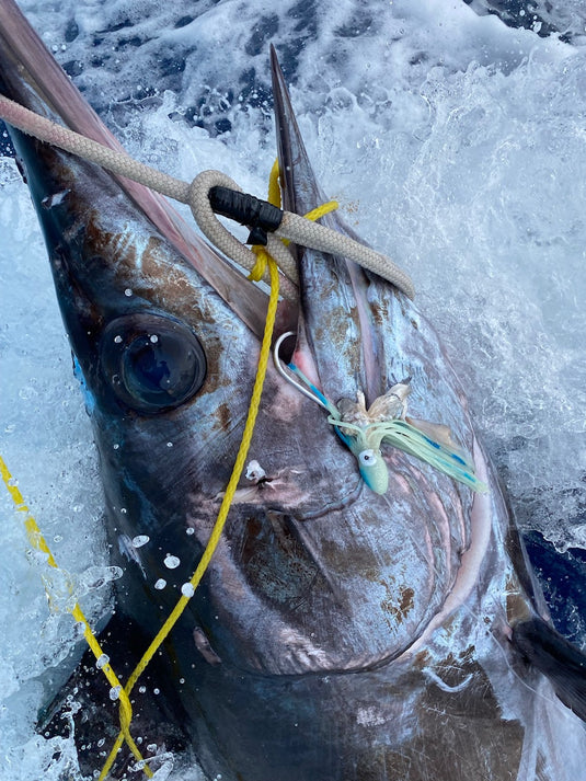 RJ Boyle Swordfish Skirts - RJ Boyle