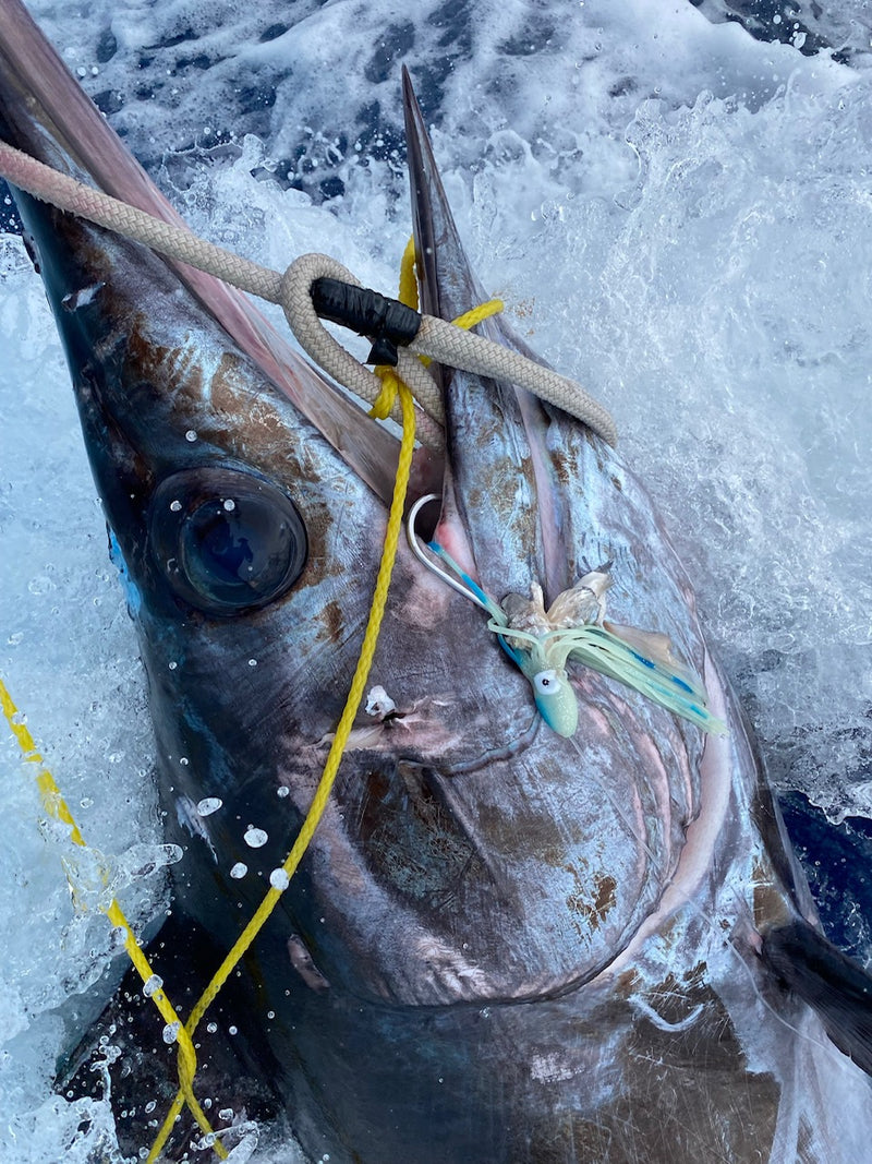 Load image into Gallery viewer, RJ Boyle Southern Tuna Stainless Big Game Hook (3 pack)
