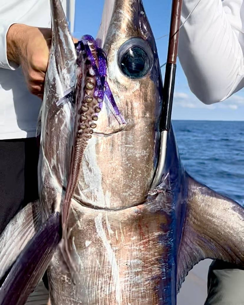 Load image into Gallery viewer, RJ Boyle Southern Tuna Stainless Big Game Hook (3 pack)
