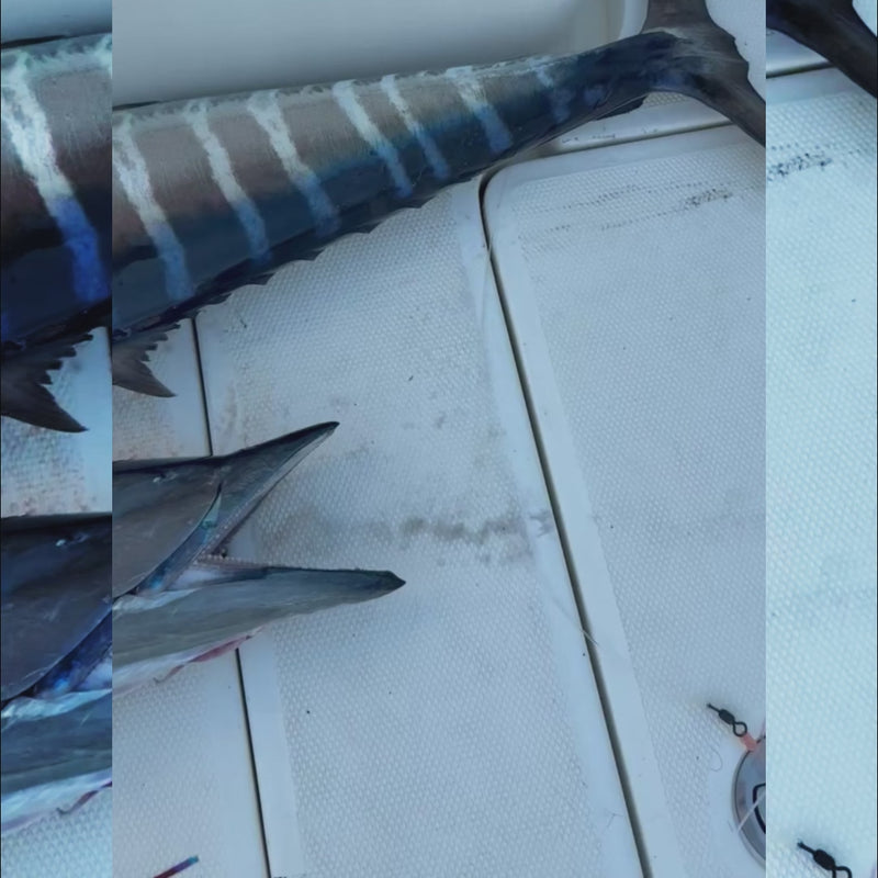 Load and play video in Gallery viewer, RJ Boyle Wahoo Trolling Rig - Jet
