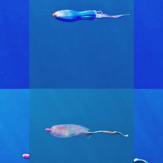 RJ Boyle Artificial Bonito Trolling Strips