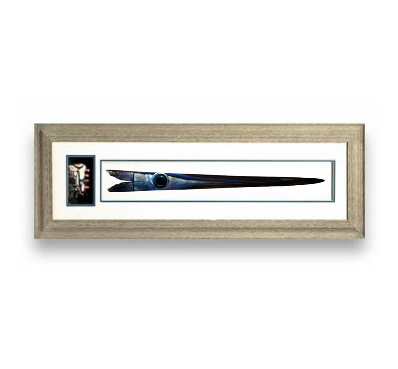 Load image into Gallery viewer, RJ Boyle Custom Swordfish Bill - Framed - RJ Boyle
